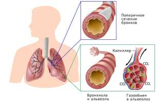 Как справиться с температурой при бронхите у детей