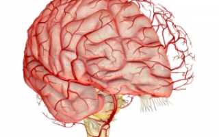 Симптомы и лечение атеросклероза сосудов головного мозга