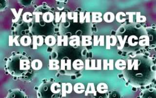 Какова устойчивость коронавируса во внешней среде